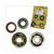 BEARING/SEALRING KIT MINARELLI AM345/6 TP